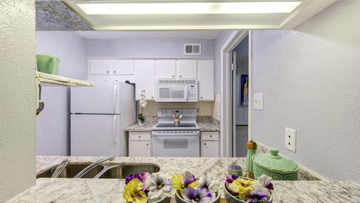 Houston 1-story, 1-bed 4633 Wild Indigo Street 528-idx