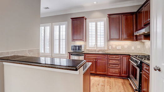 Houston 3-story, 3-bed 2202 Bancroft Street-idx