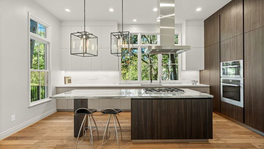 Houston 3-story, 3-bed 84 Audubon Hollow Lane-idx