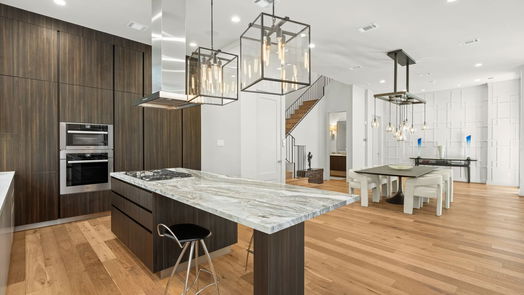 Houston 3-story, 3-bed 84 Audubon Hollow Lane-idx