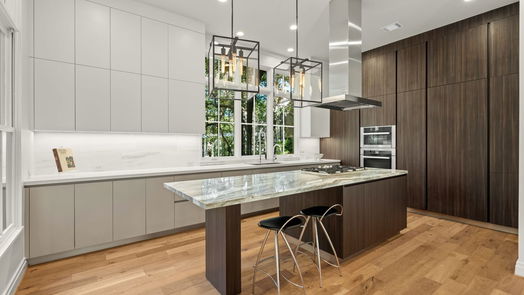Houston 3-story, 3-bed 84 Audubon Hollow Lane-idx