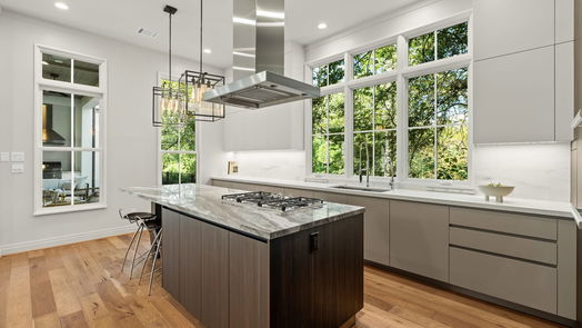 Houston 3-story, 3-bed 84 Audubon Hollow Lane-idx