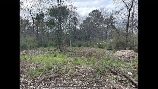Houston null-story, null-bed 6009 E Houston Road-idx