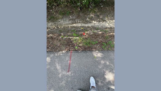 Houston null-story, null-bed 0 Betty Boop Street-idx