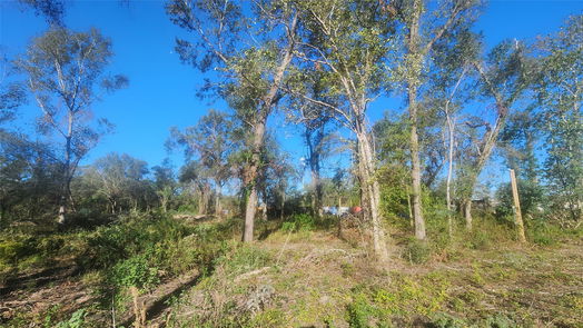 Houston null-story, null-bed 6003 Fitzhugh Street-idx