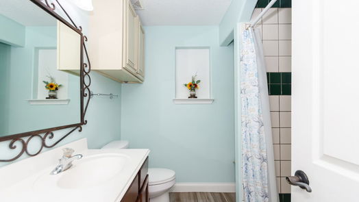Houston 1-story, 3-bed 419 De Haven Street-idx