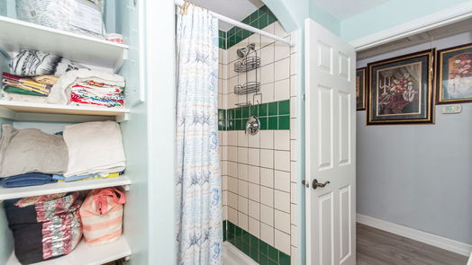 Houston 1-story, 3-bed 419 De Haven Street-idx