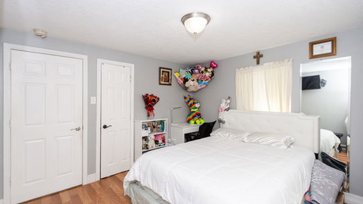 Houston 1-story, 3-bed 419 De Haven Street-idx