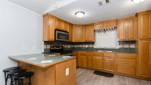 Houston 1-story, 3-bed 419 De Haven Street-idx