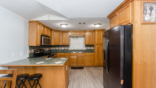 Houston 1-story, 3-bed 419 De Haven Street-idx