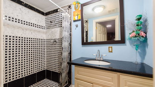 Houston 1-story, 3-bed 419 De Haven Street-idx
