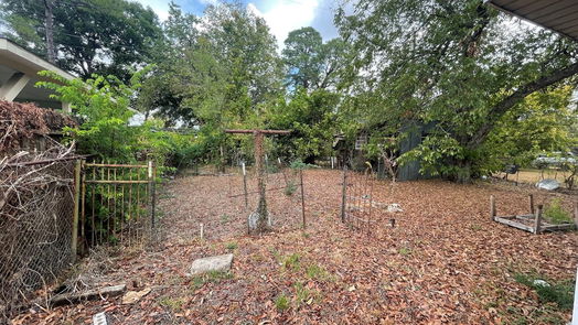 Houston 1-story, 3-bed 209 N Carolina Street-idx