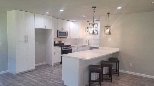 Houston 1-story, 3-bed 1730 Chazen Drive-idx