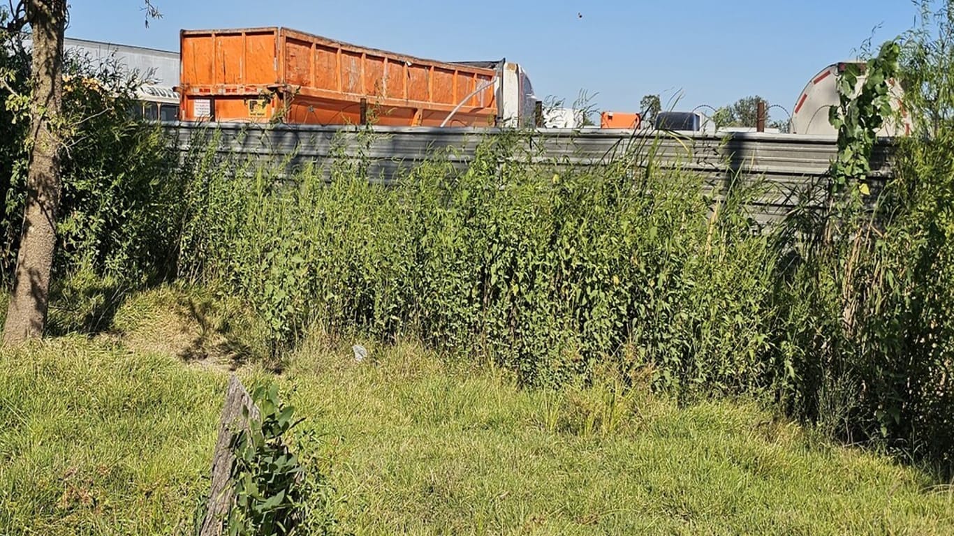 Houston null-story, null-bed 8231 Mendez Street-idx