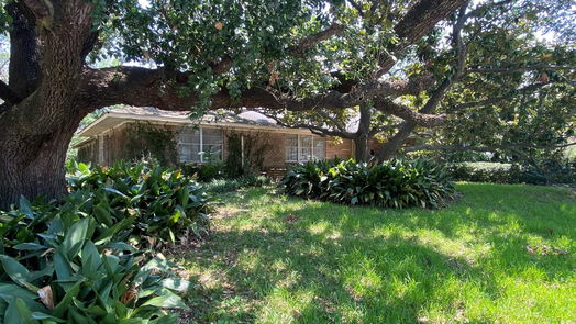 Houston 1-story, 0-bed 2534 Maroneal Street-idx