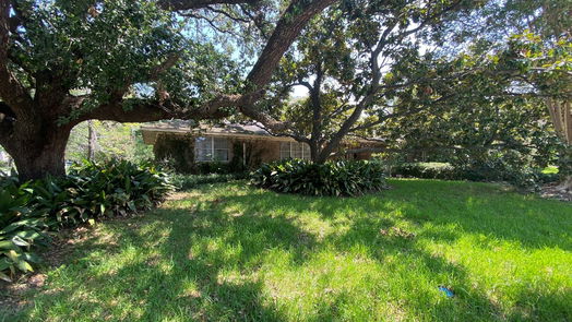 Houston 1-story, 0-bed 2534 Maroneal Street-idx