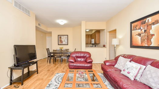 Houston null-story, 2-bed 2211 S Braeswood Boulevard 21I-idx