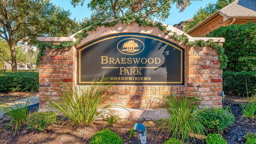 Houston null-story, 1-bed 2255 Braeswood Park Drive 300-idx