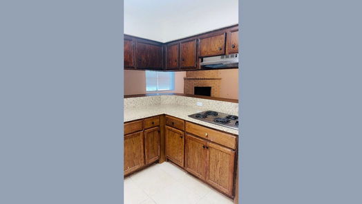 Houston 1-story, 4-bed 10303 Gustine Court-idx