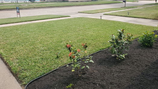 Houston 1-story, 4-bed 8906 Sterlingame Drive-idx