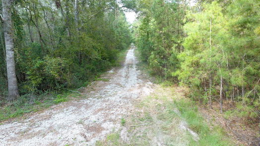 Conroe null-story, null-bed 0 COON HOLLOW Road-idx