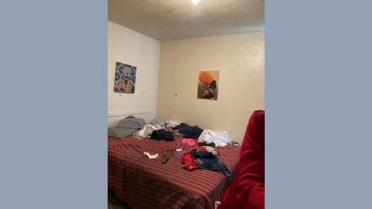 Houston 1-story, 4-bed 6054 Glenhurst Street-idx