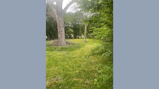 Houston 1-story, 2-bed 5021 Wilmington Street-idx