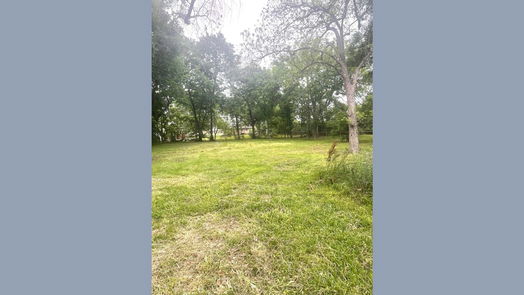Houston 1-story, 2-bed 5021 Wilmington Street-idx