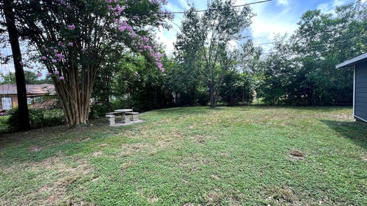 Houston 1-story, 3-bed 4829 Brinkley Street-idx