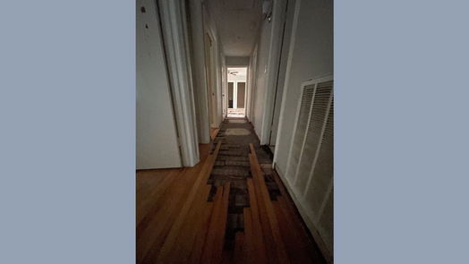Houston 1-story, 4-bed 1107 Elton Street-idx