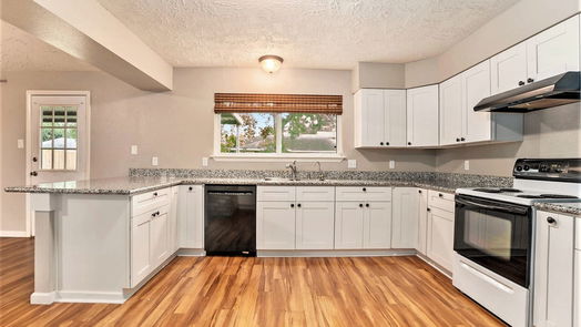 Houston 1-story, 3-bed 13915 Ludgate Pass-idx