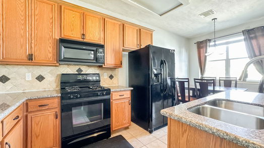 Houston 2-story, 3-bed 10138 W Palm Lake Drive-idx