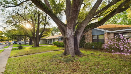 Houston 1-story, 4-bed 4729 Spellman Road-idx