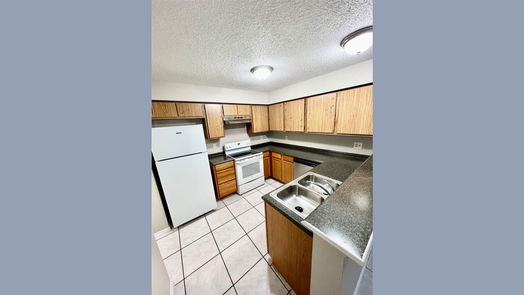 Houston 2-story, 2-bed 12125 Lemon Ridge Lane 121-idx