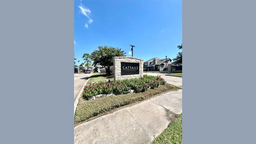 Houston 2-story, 2-bed 12125 Lemon Ridge Lane 121-idx