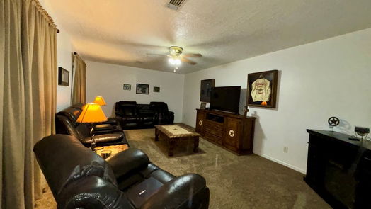 Houston 1-story, 3-bed 602 Beaver Bend Road-idx