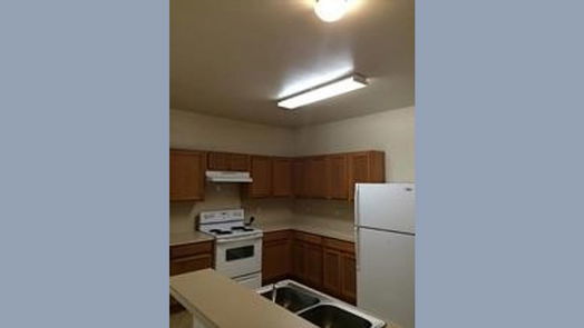 Houston 2-story, 4-bed 10053 Sharpton Drive-idx