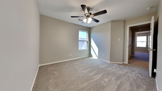 Houston 2-story, 4-bed 2806 Iris Valley Way-idx