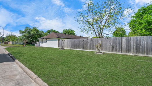 Houston 1-story, 4-bed 902 Progreso Drive-idx