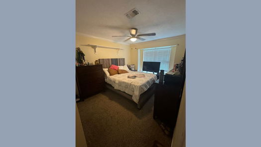 Houston 1-story, 3-bed 13906 Peatwood Road-idx