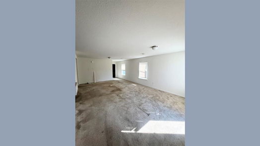 Houston 1-story, 3-bed 2515 White Bluff Lane-idx