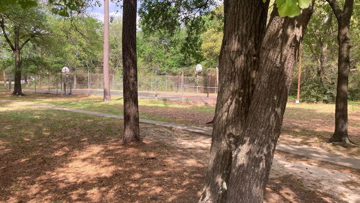 Houston 2-story, 3-bed 12219 Wild Pine Drive D-idx
