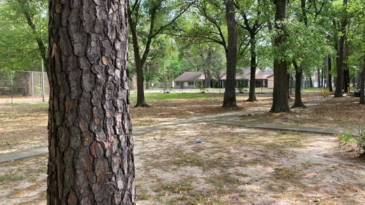 Houston 2-story, 3-bed 12219 Wild Pine Drive D-idx
