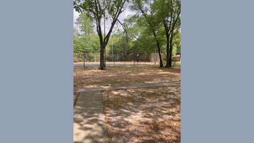 Houston 2-story, 3-bed 12219 Wild Pine Drive D-idx