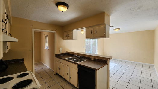 Houston 2-story, 3-bed 12427 W Village Drive B-idx
