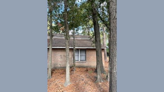 Houston 2-story, 2-bed 12314 Wild Pine Drive D-idx