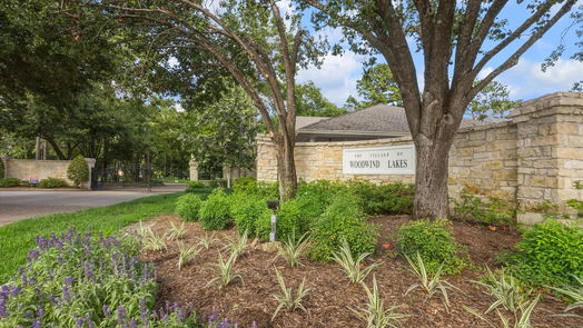 Houston null-story, 4-bed 9314 Oratorio Court-idx