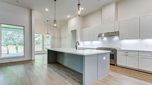 Jersey Village null-story, 4-bed 15505 Shanghai Street-idx