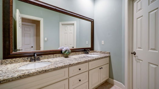 Houston 1-story, 4-bed 12547 Rosewood Way Lane-idx