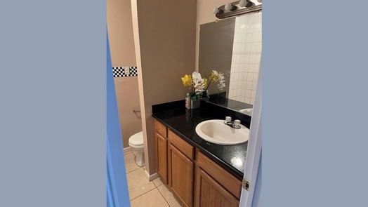 Houston 1-story, 4-bed 7411 Cornwall Bridge Lane-idx
